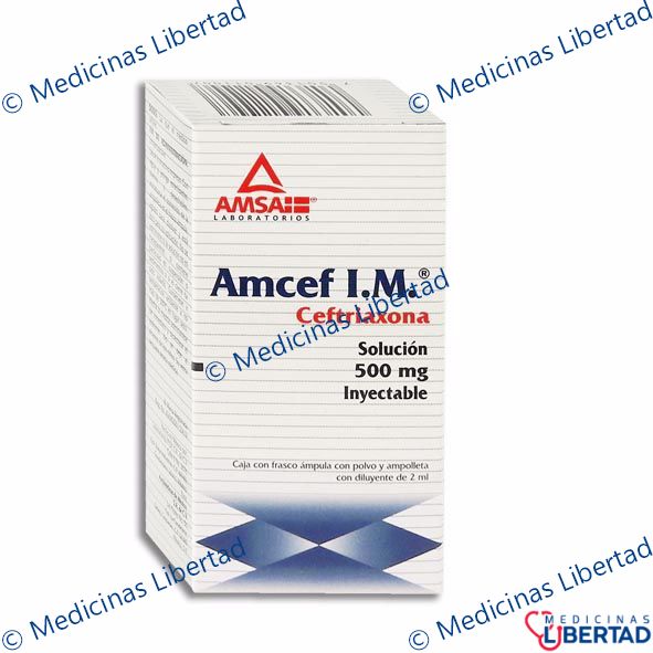 AMCEF 500MG IM SOL. INY. C/1