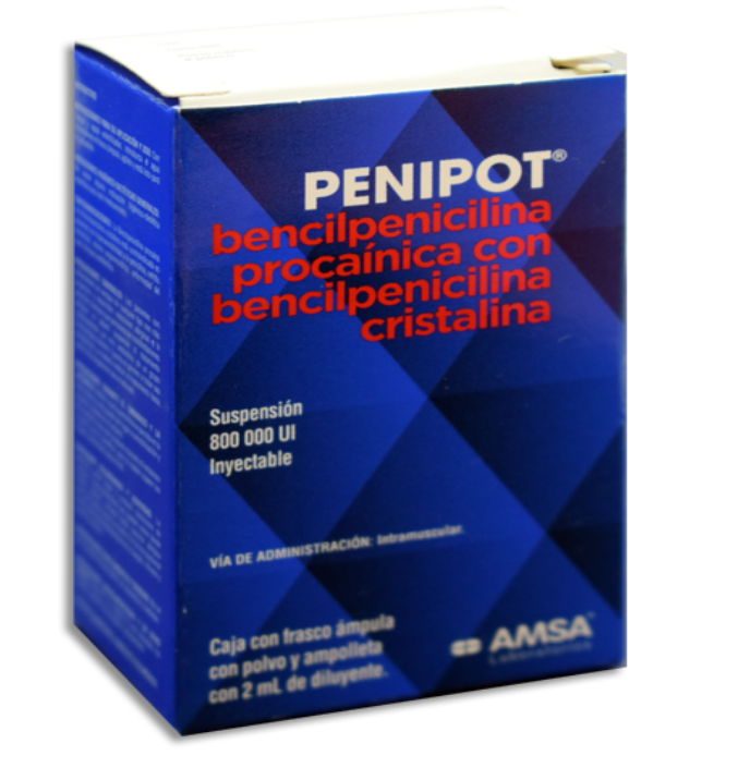 PENIPOT 800,000 IU - Solucion Inyectable - c/1