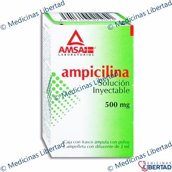 AMPICILINA 500MG AMSA Solucion Inyectable c/1