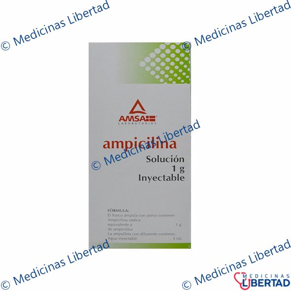 AMPICILINA 1G AMSA  Solucion inyectable c/1