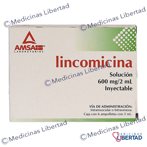 [7501349021983] LINCOMICINA 600 AMSA - Solucion Inyectable - c/6